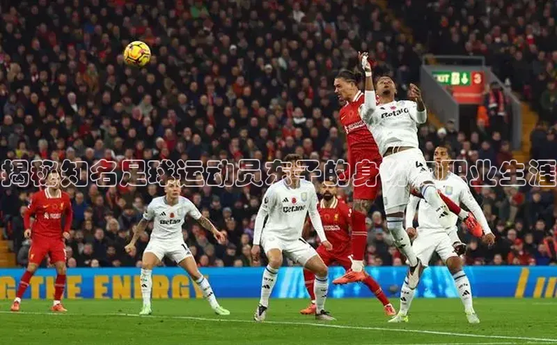 爱游戏官网首页登录入口知乎揭秘知名足球运动员东子的身份和职业生涯