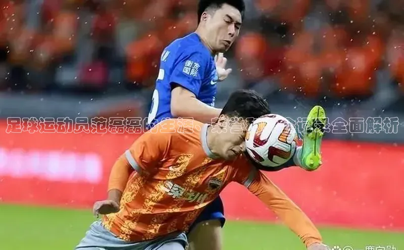 爱游戏官网首页登录入口百度翻译App足球运动员范磊磊的生涯、荣誉和转会记录全面解析