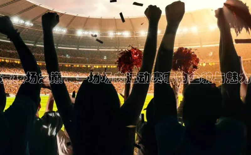 ayx·爱游戏(中国)官方网站ARGA公司竞技场之巅：一场场内运动赛事的全貌与魅力