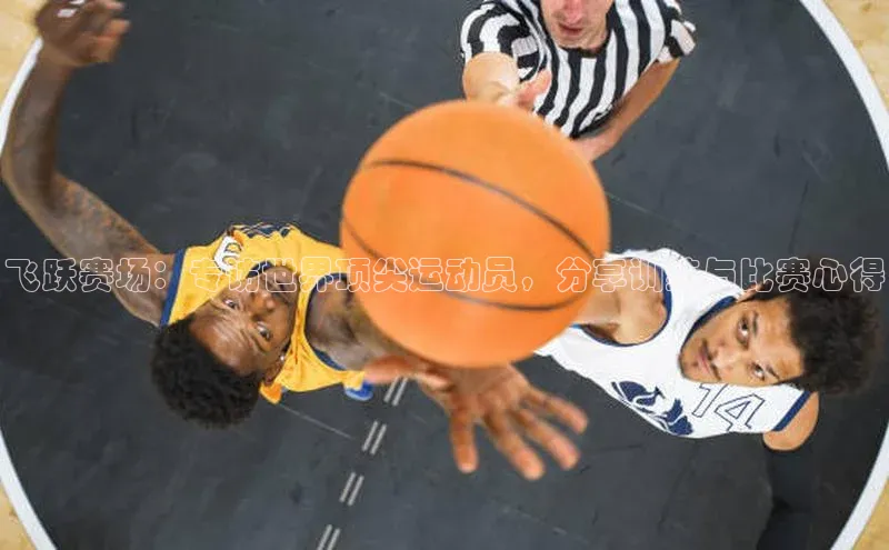 飞跃赛场：专访世界顶尖运动员，分享训练与比赛心得