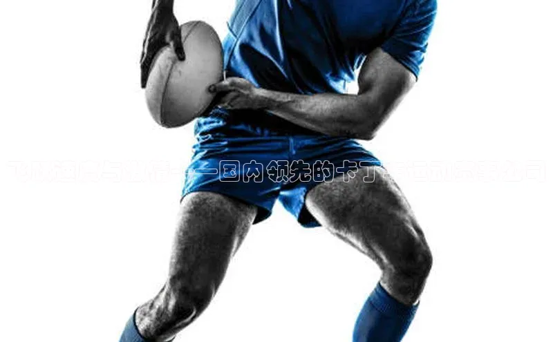 飞跃速度与激情——国内领先的卡丁车运动赛事公司