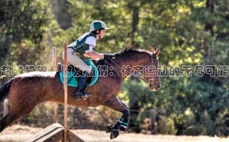 超越极限，激发激情：体育运动的无尽可能