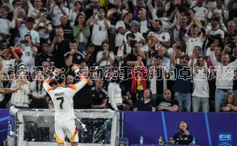 焦点镜头：运动赛事裁判的卓越风采
