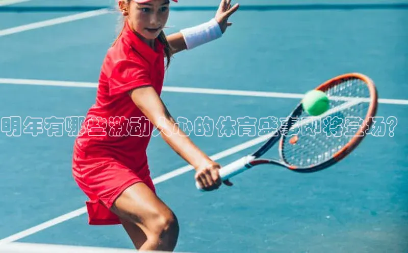 爱游戏全站app手机版官网