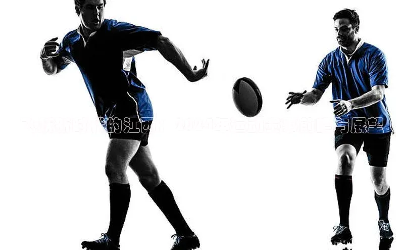 爱游戏app官方入口最新版本