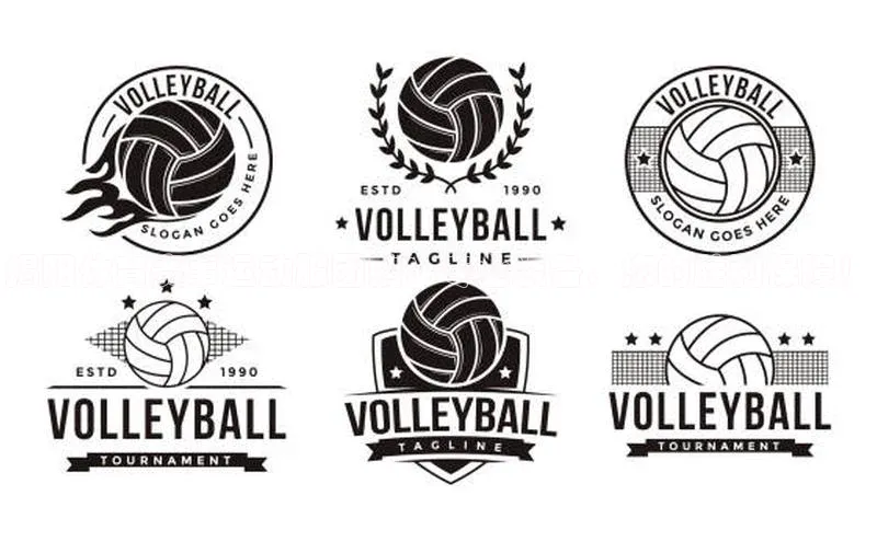 ayx官方体育入口