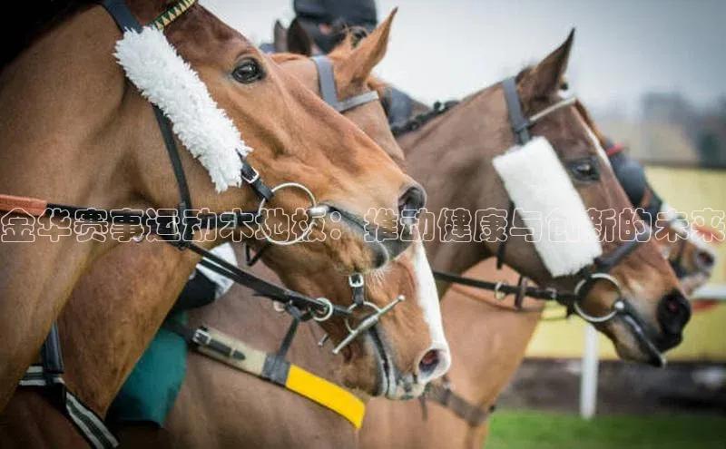 爱游戏ayx手机版登录入口