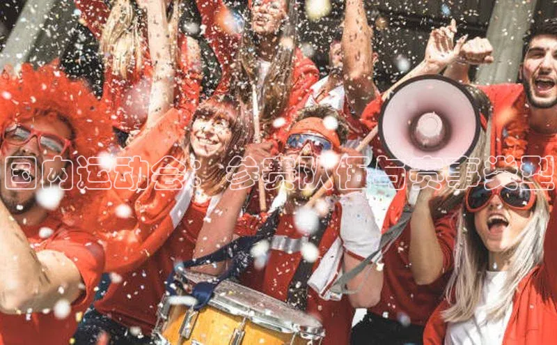 国内运动会：参赛队伍与赛事类型